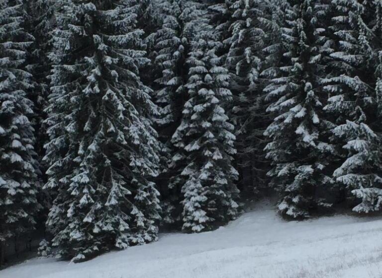 דירת שני חדרים, Chalet Musiera