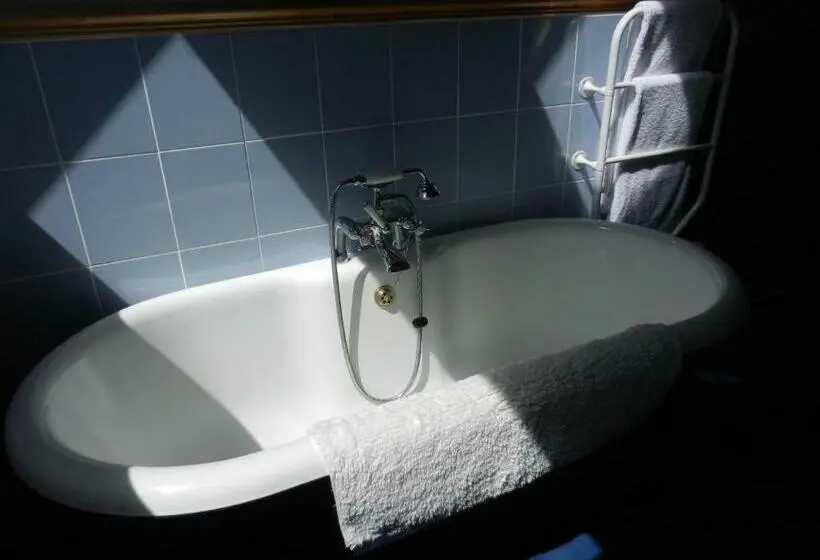 キングサイズベッドのデラックスルーム, Cilwen Country House Bed And Breakfast