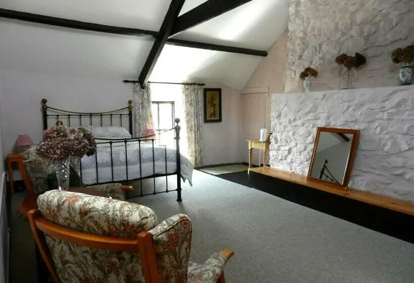 キングサイズベッドのデラックスルーム, Cilwen Country House Bed And Breakfast