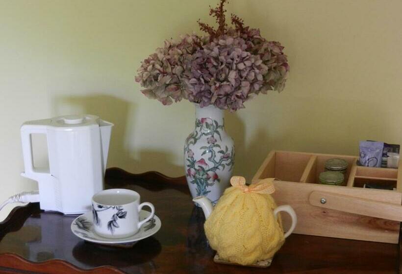 스탠다드 룸, Cilwen Country House Bed And Breakfast