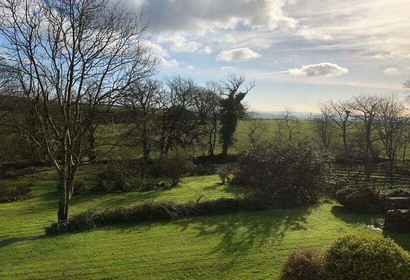 Номер Стандарт, Cilwen Country House Bed And Breakfast