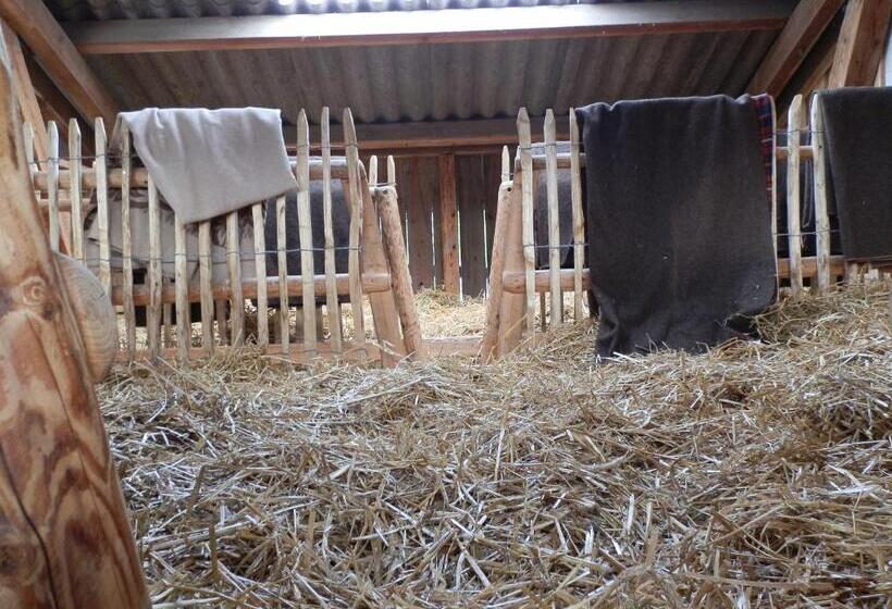 ルームシェアのワンベッド, Steigmatt Bauernhof Erlebnis