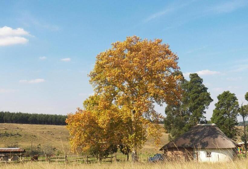 בקתה סטנדרטית, Suikerbosskuur Rondavel & Chalet