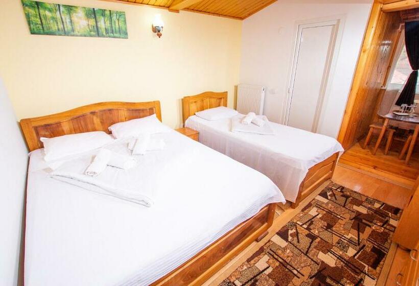 Номер Стандарт Трехместный, Casa Albă