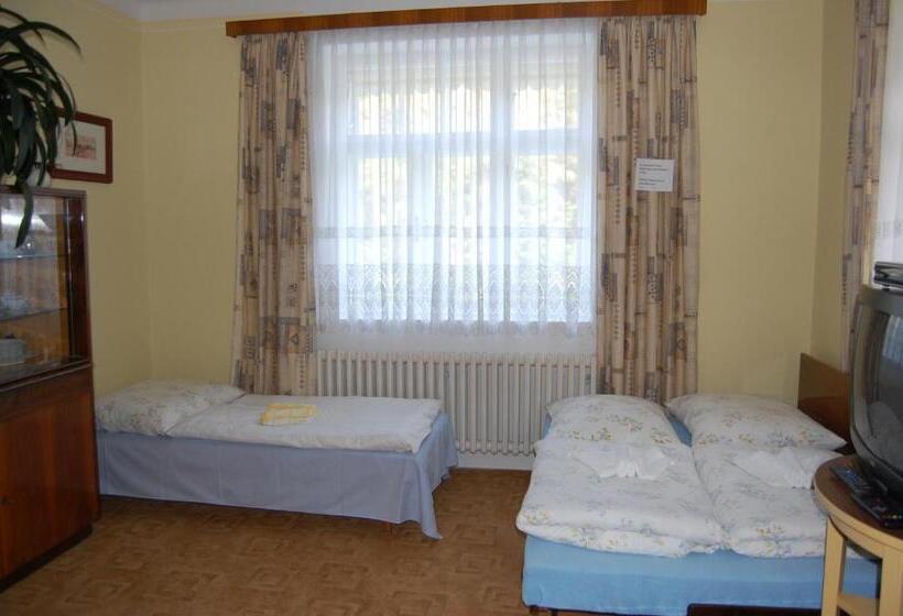 Номер Стандарт Трехместный, Guest House Hošek