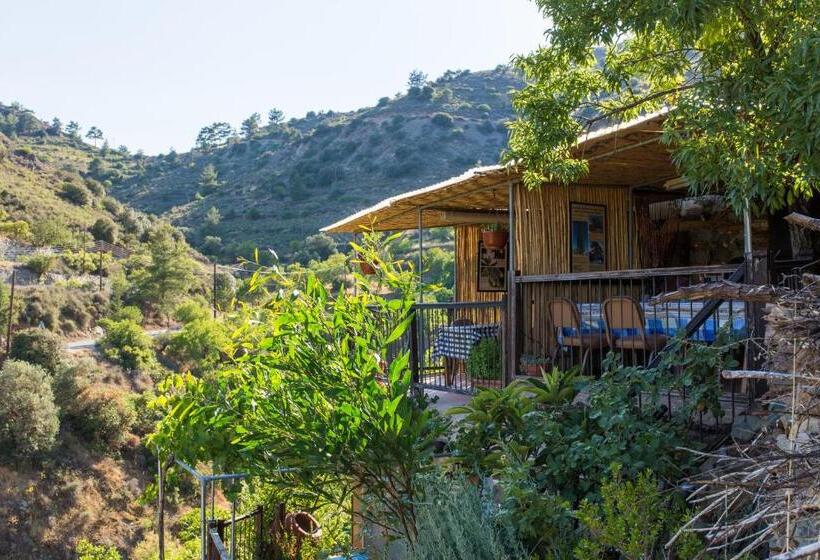 标准间带露台, Hatzikyprianou Museum Studio