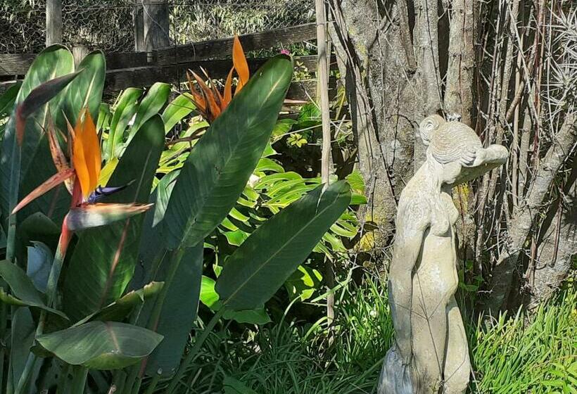 חדר סטנדרט עם מרפסת, Ville Agape