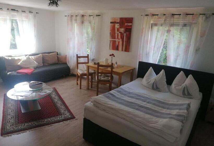 חדר סטנדרט יחיד, Pension Hofmann