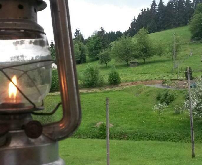 חדר סטנדרט יחיד, Pension Hofmann