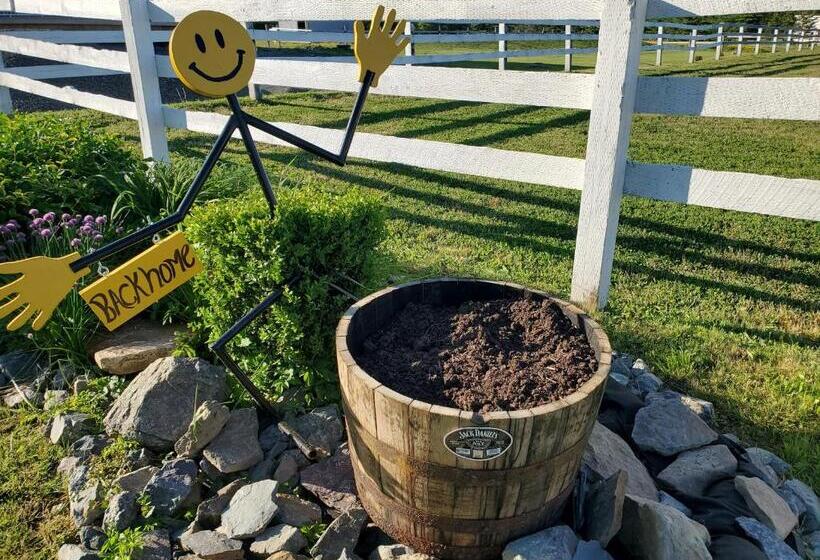 غرفة قياسية سرير كينج, Back Home Bed And Breakfast