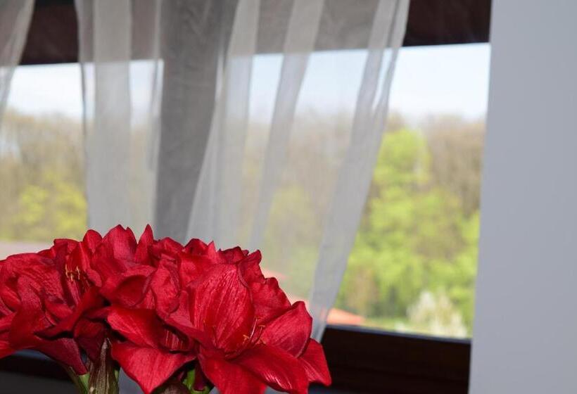 Номер Deluxe, Pensiunea Corbeanca   Cazare Si Evenimente