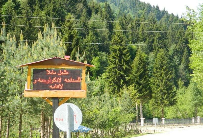 テラス付き１ベッドルームアパートメント, Yesilyayla Eko Turizm