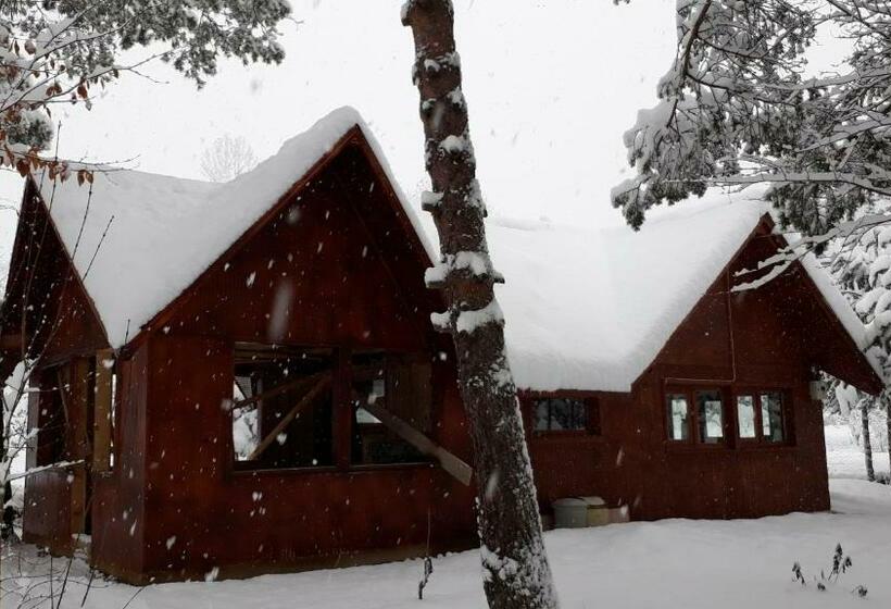 Апартаменты 1 Спальня с Террасой, Yesilyayla Eko Turizm