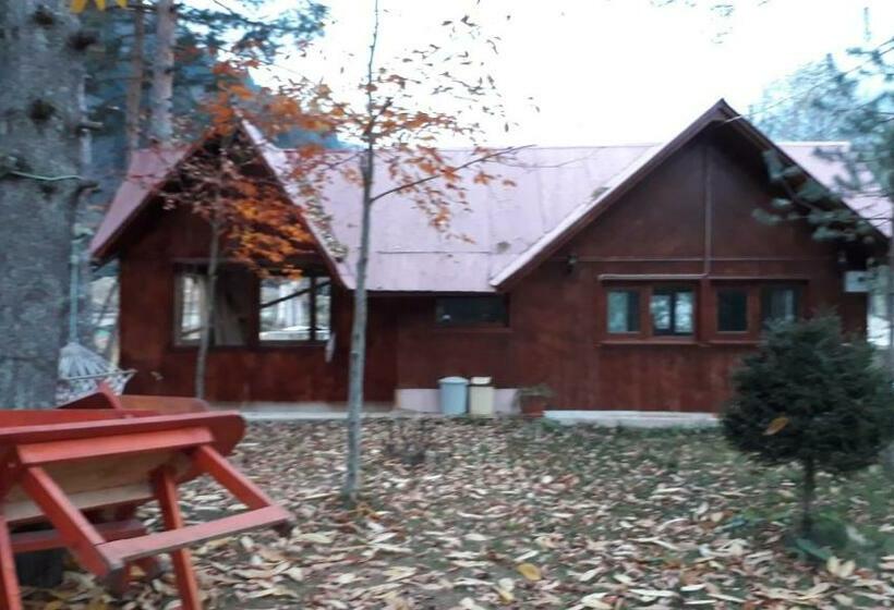 テラス付き１ベッドルームアパートメント, Yesilyayla Eko Turizm