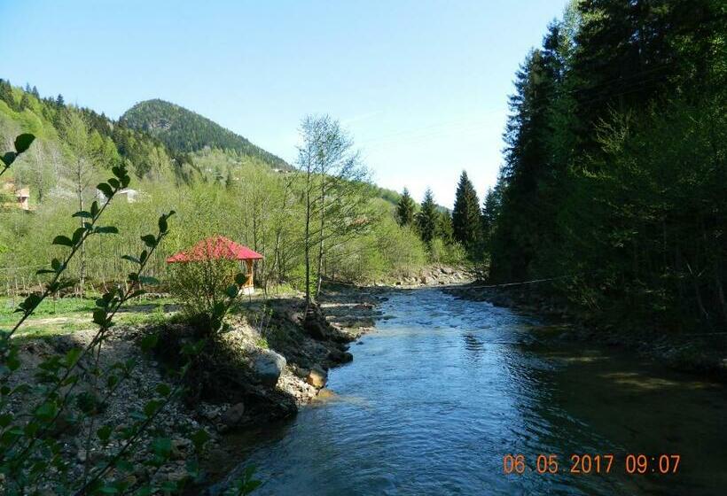 Апартаменты 1 Спальня с Террасой, Yesilyayla Eko Turizm