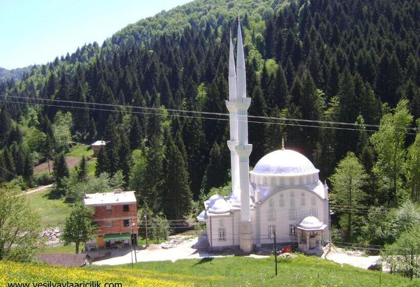 Апартаменты 1 Спальня с Террасой, Yesilyayla Eko Turizm
