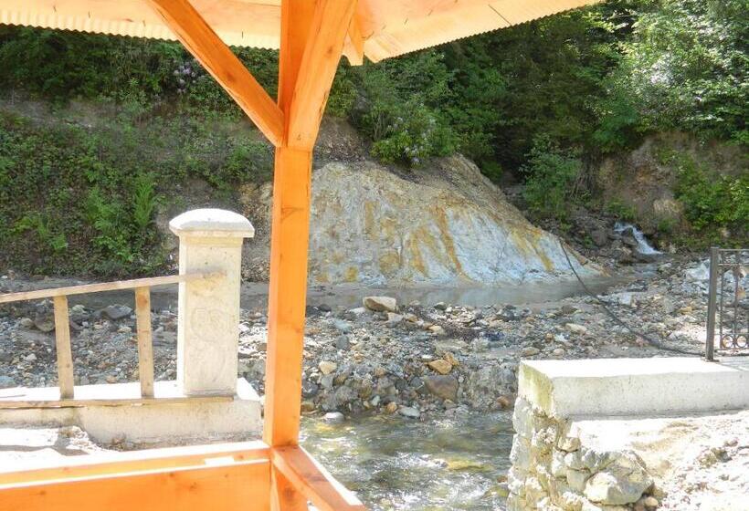 Апартаменты 1 Спальня с Террасой, Yesilyayla Eko Turizm