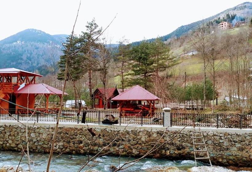 Апартаменты 1 Спальня с Террасой, Yesilyayla Eko Turizm