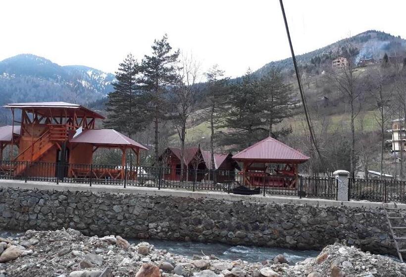 Апартаменты 1 Спальня Вид на Сад, Yesilyayla Eko Turizm
