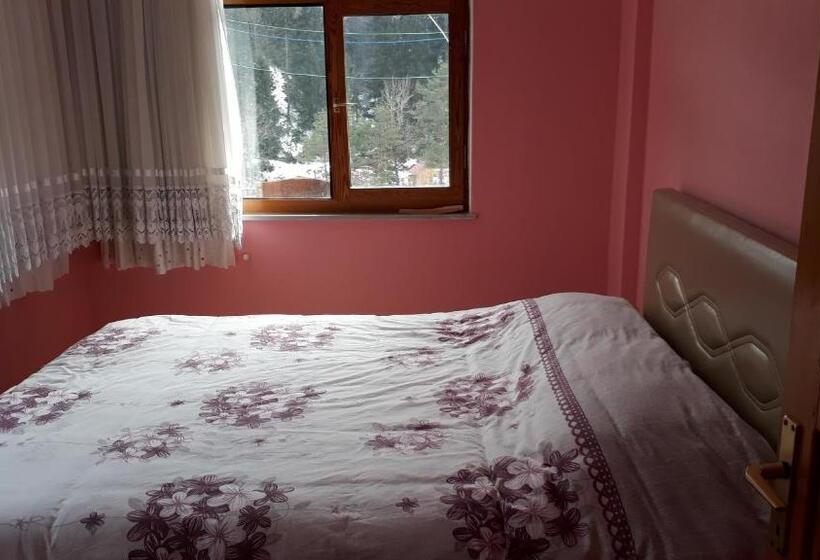 庭の見える１ベッドルームアパートメント, Yesilyayla Eko Turizm