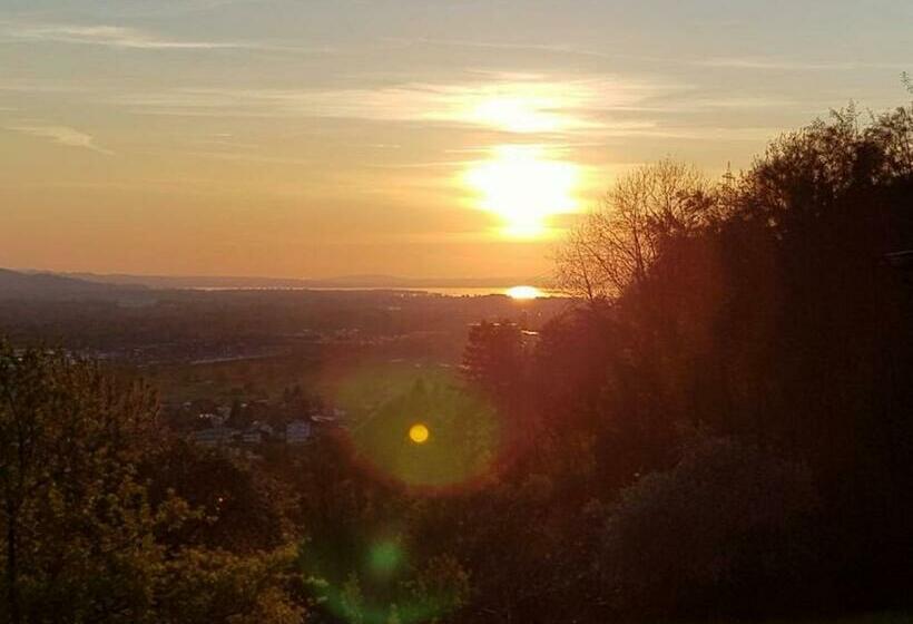 デラックススタジオ, Business Apartment