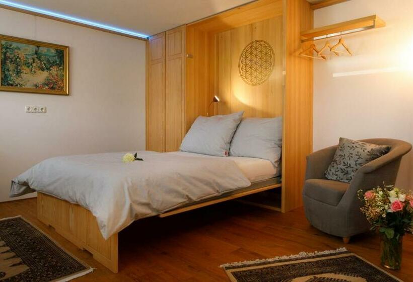 デラックススタジオ, Business Apartment