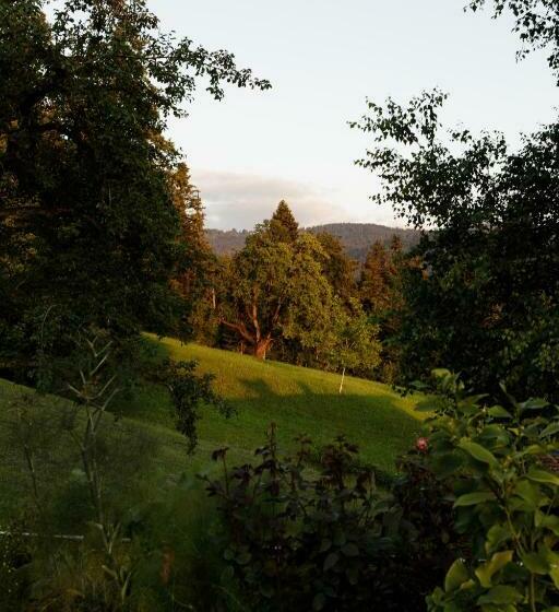 إستوديو ديلوكس, Business Apartment