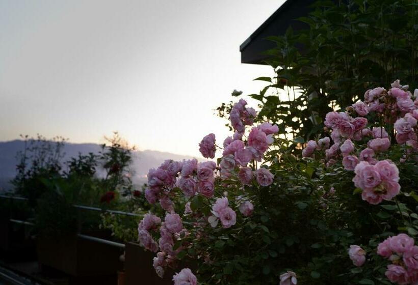 デラックススタジオ, Business Apartment