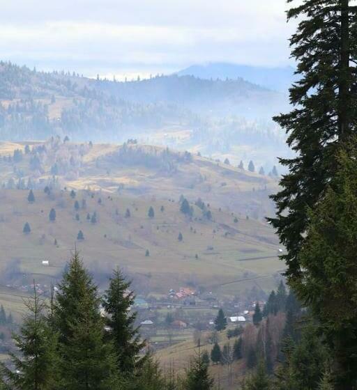 标准间, Flower Bell