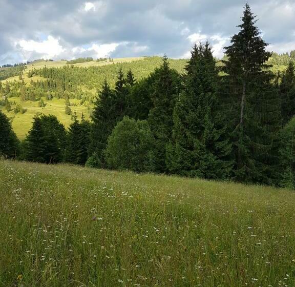 标准间, Flower Bell
