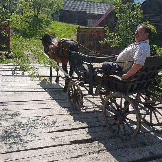 스탠다드 룸, Flower Bell