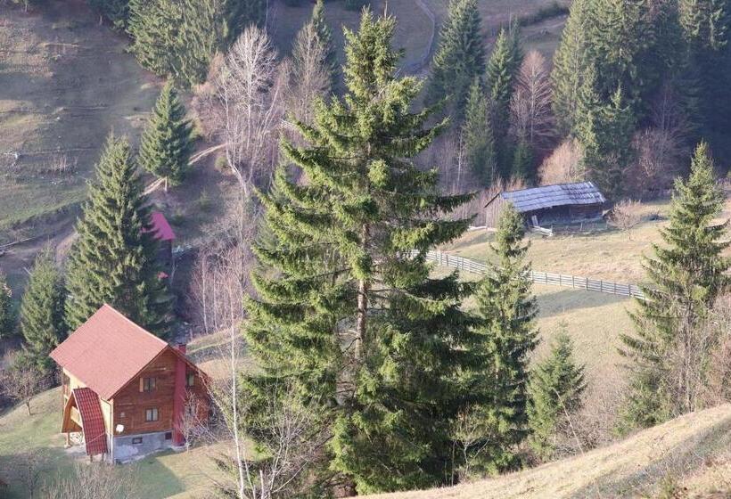 四人标准间, Flower Bell