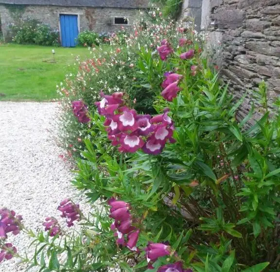 Standard-huone, Le Parfum Des Fleurs