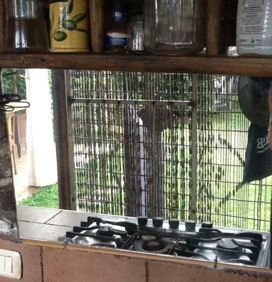 Четырехместный Номер Стандарт, Pain Et Confiture