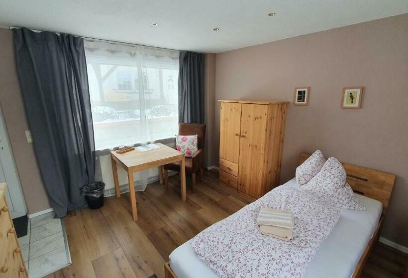 Номер Стандарт Индивидуальный, Pension Am Silberberg