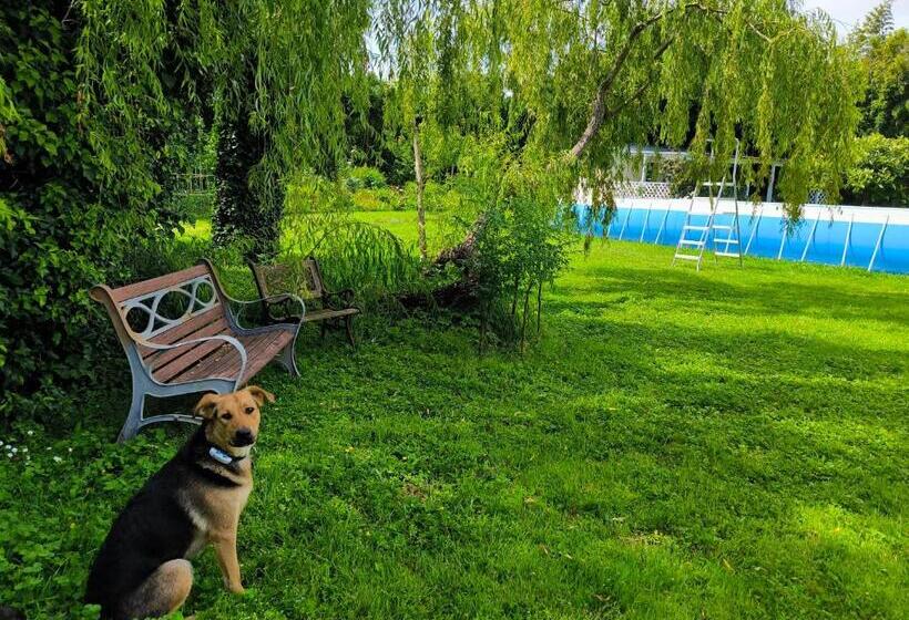 اتاق استاندارد, Versilia   Pietrasanta   Le Colmate Guesthouse