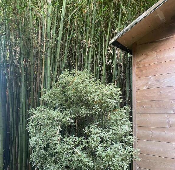 Quarto Estandar, Versilia   Pietrasanta   Le Colmate Guesthouse