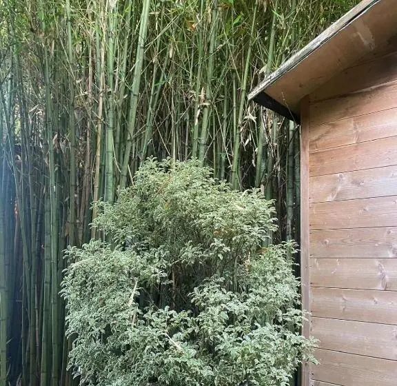 スタンダードルーム, Versilia Pietrasanta Le Colmate Guesthouse