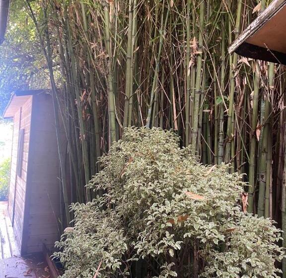 اتاق استاندارد, Versilia   Pietrasanta   Le Colmate Guesthouse