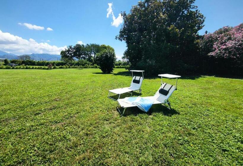 اتاق استاندارد چهار تخته, Versilia   Pietrasanta   Le Colmate Guesthouse