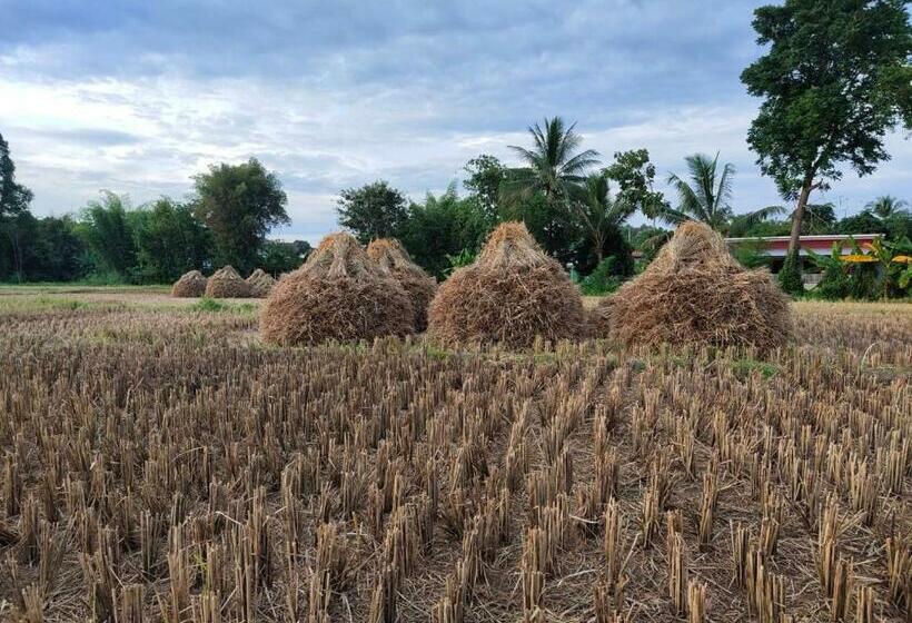غرفة قياسية, อุสาวิวรีสอร์ท