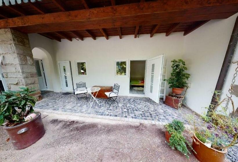 غرفة قياسية, Nina Apartments