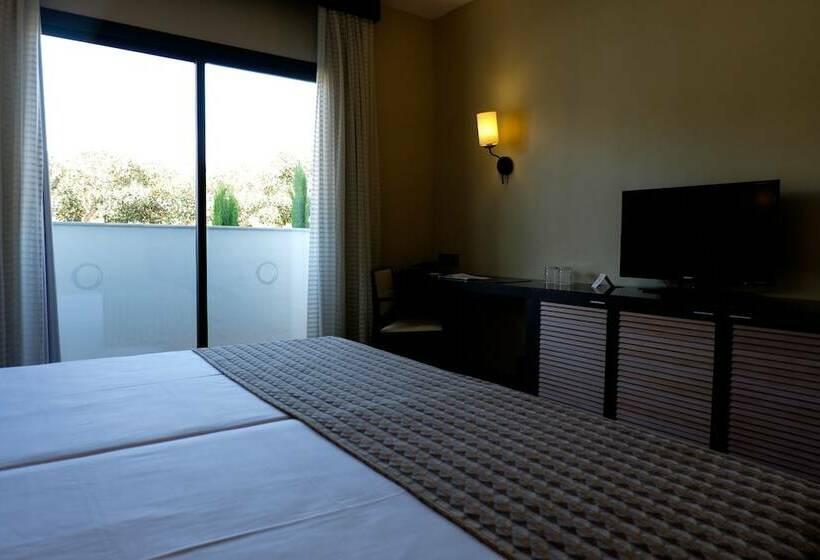 エコノミールーム, ALEGRIA Palacio Mojacar - Adults Only