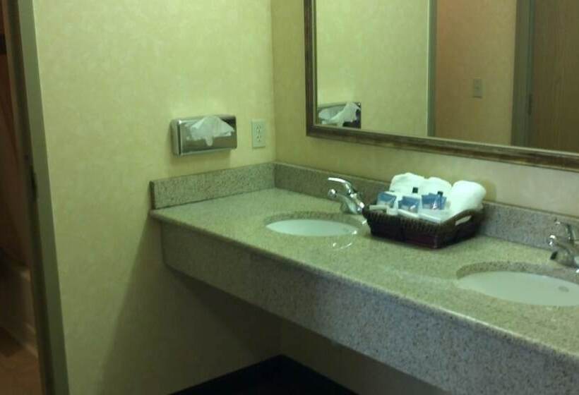 جناح ديلوكس, Put In Bay Resort & Conference Center