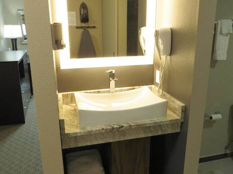 غرفه قياسيه سريرين مزدوجين, Put In Bay Resort & Conference Center