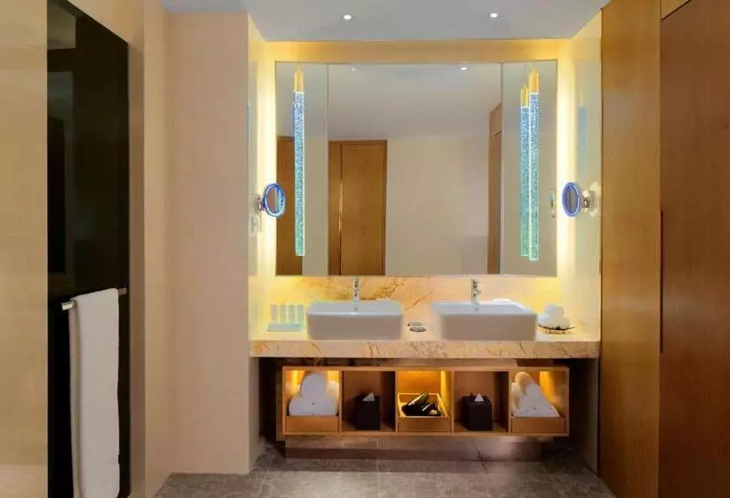 デラックスルーム, Radisson Blu Hotel Kashgar