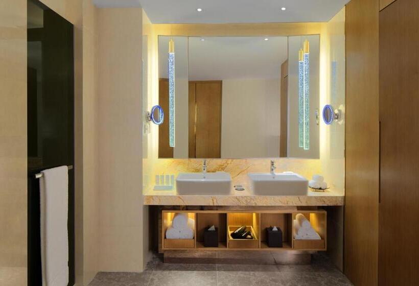 جناح إدارى, Radisson Blu Hotel Kashgar