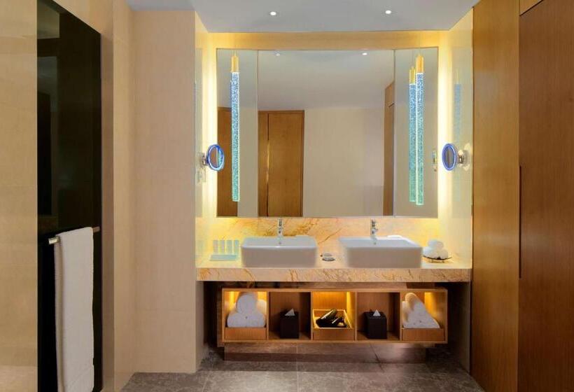 جناح إدارى, Radisson Blu Hotel Kashgar