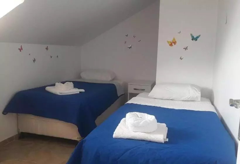 Suite, Rota