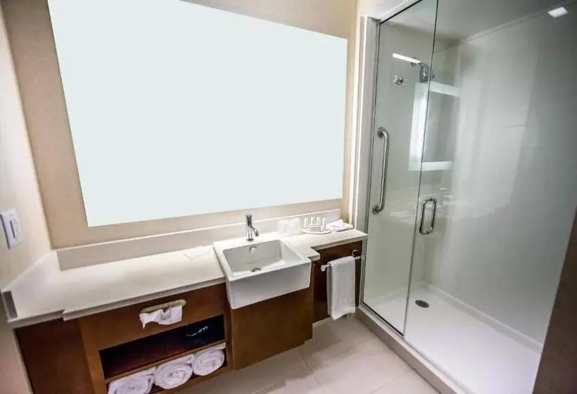 キングサイドベッドのスタンダードワンルーム, Springhill Suites Lumberton